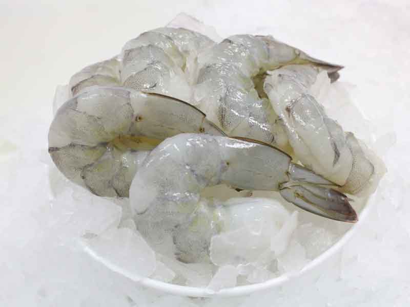 Frozen Shrimp