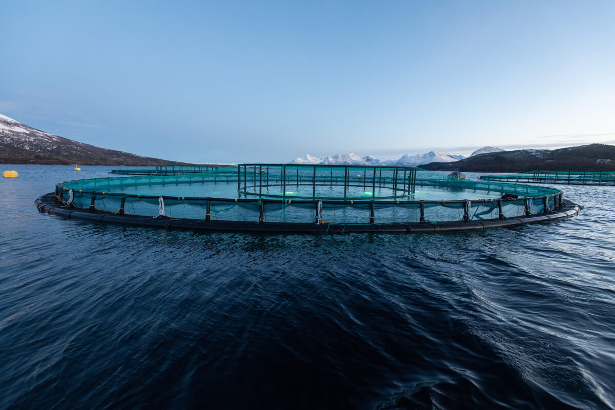 Indonesia is moving toward aquaculture to increase sustainability.