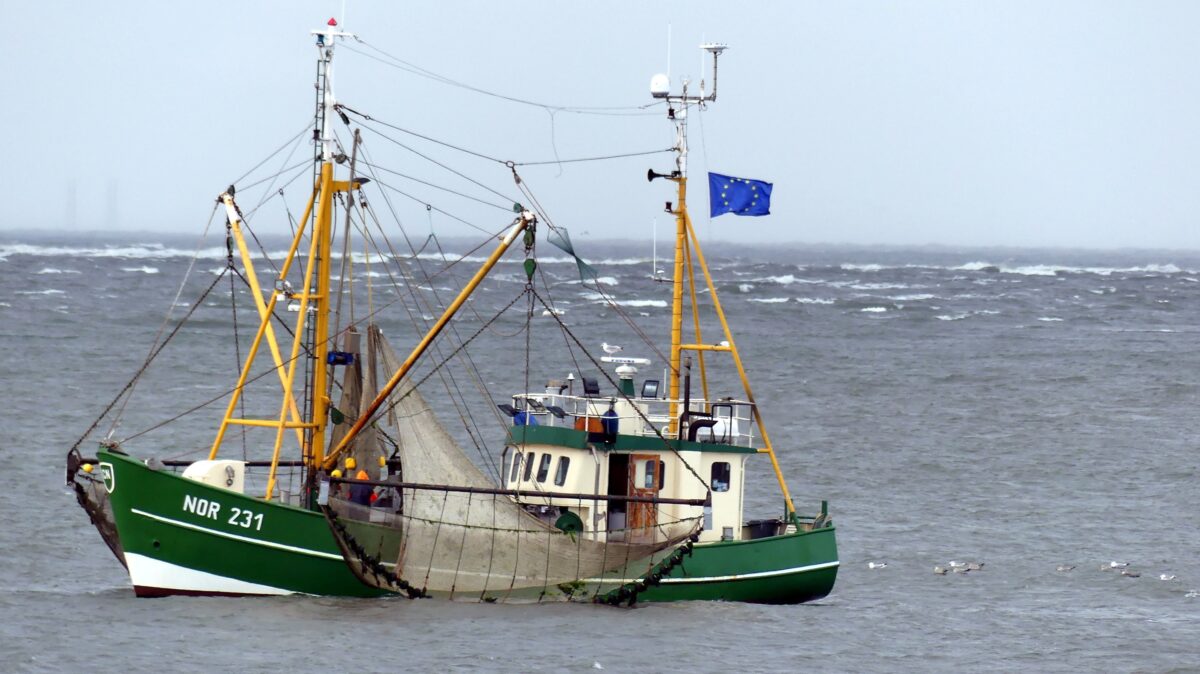 Canadian Snow Crab Season comes to a close and harvest facts are in