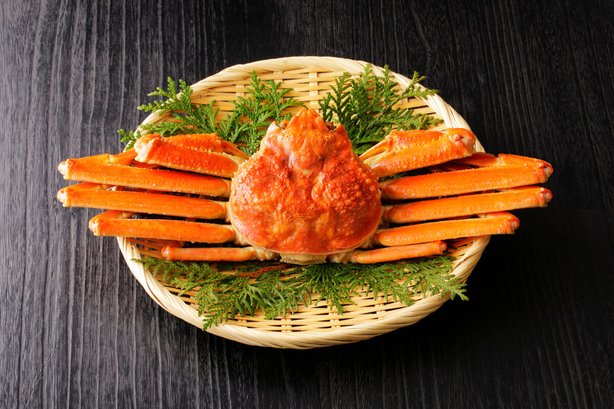 10 Million Yen Spent on a Single Snow Crab on the First Day of the Fishing Season