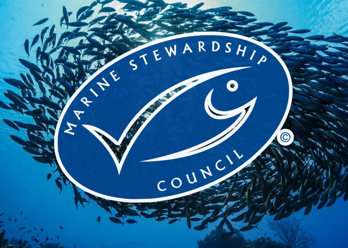 The Marine Stewardship Council (MSC): Champions of Sustainable Seas