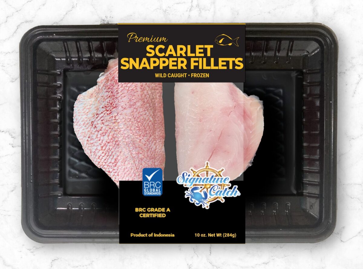Scarlet Snapper